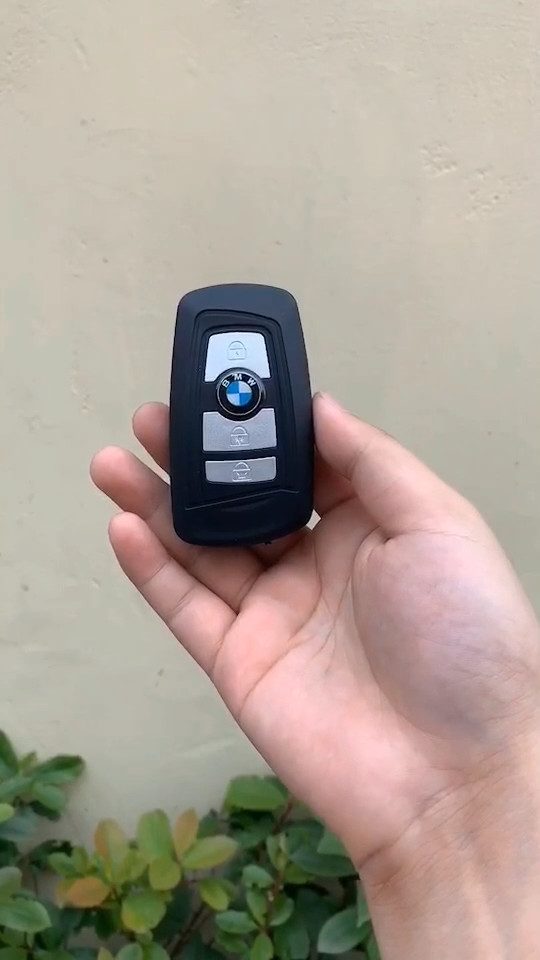 只有半个手掌大小